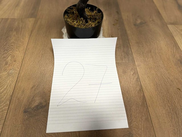 Royal pachira kersen bloesem kunstboom - afbeelding 8 van  16