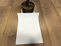 Royal pachira kersen bloesem kunstboom - afbeelding 8 van  16