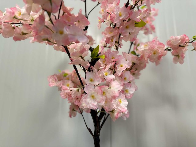 Royal pachira kersen bloesem kunstboom - afbeelding 14 van  16