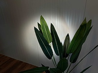 Royal pachira kunstboom - afbeelding 7 van  16