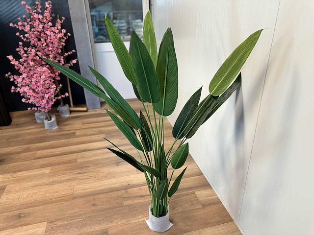 Royal pachira kunstboom - afbeelding 9 van  16