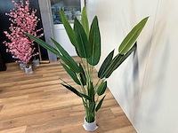 Royal pachira kunstboom - afbeelding 9 van  16