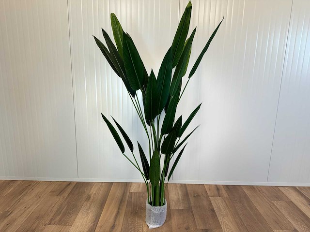 Royal pachira kunstboom - afbeelding 10 van  16