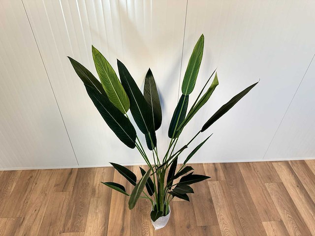 Royal pachira kunstboom - afbeelding 13 van  16