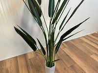 Royal pachira kunstboom - afbeelding 14 van  16