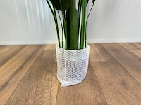 Royal pachira kunstboom - afbeelding 2 van  16