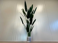 Royal pachira kunstboom - afbeelding 3 van  16