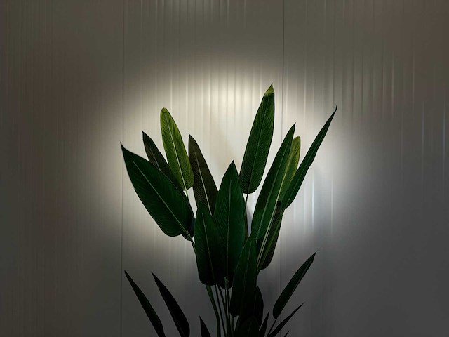 Royal pachira kunstboom - afbeelding 4 van  16