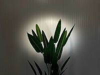 Royal pachira kunstboom - afbeelding 4 van  16