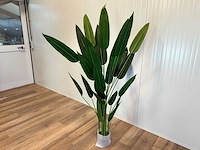 Royal pachira kunstboom - afbeelding 1 van  16