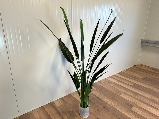 Royal pachira kunstboom - afbeelding 11 van  16