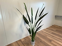 Royal pachira kunstboom - afbeelding 11 van  16