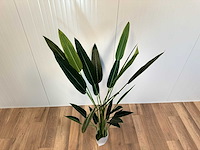 Royal pachira kunstboom - afbeelding 13 van  16