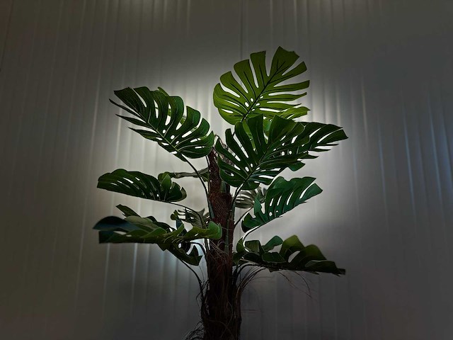 Royal pachira monsteria deliciosa kunstboom - afbeelding 2 van  16