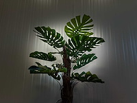 Royal pachira monsteria deliciosa kunstboom - afbeelding 2 van  16