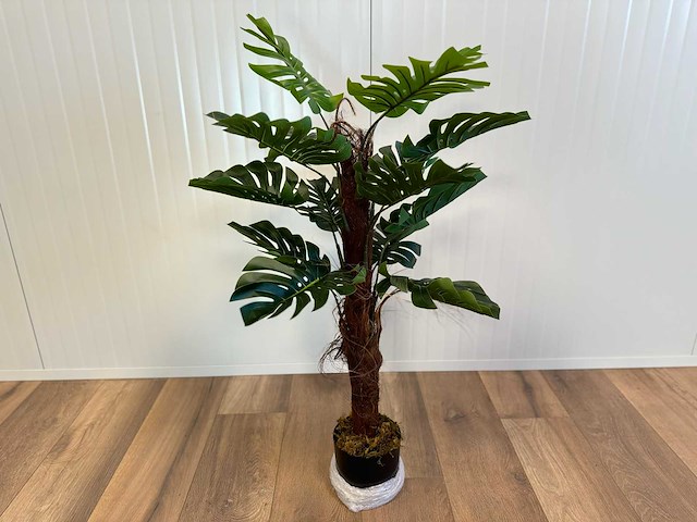 Royal pachira monsteria deliciosa kunstboom - afbeelding 1 van  16