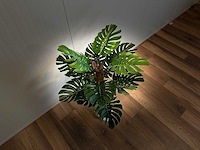 Royal pachira monsteria deliciosa kunstboom - afbeelding 13 van  16