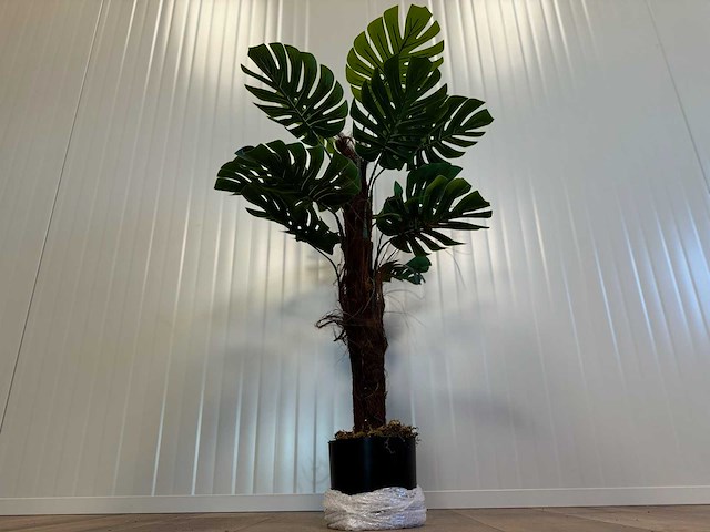 Royal pachira monsteria deliciosa kunstboom - afbeelding 15 van  16