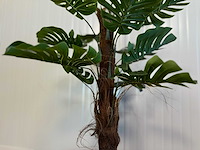 Royal pachira monsteria deliciosa kunstboom - afbeelding 16 van  16