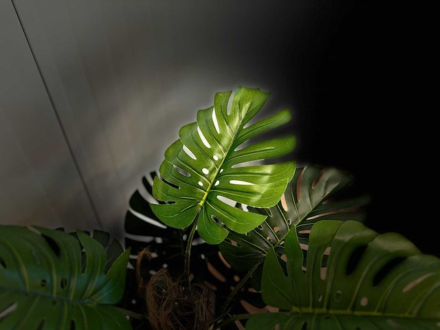 Royal pachira monsteria deliciosa kunstboom - afbeelding 3 van  16