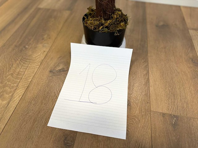 Royal pachira monsteria deliciosa kunstboom - afbeelding 8 van  16