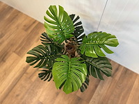 Royal pachira monsteria deliciosa kunstboom - afbeelding 11 van  16