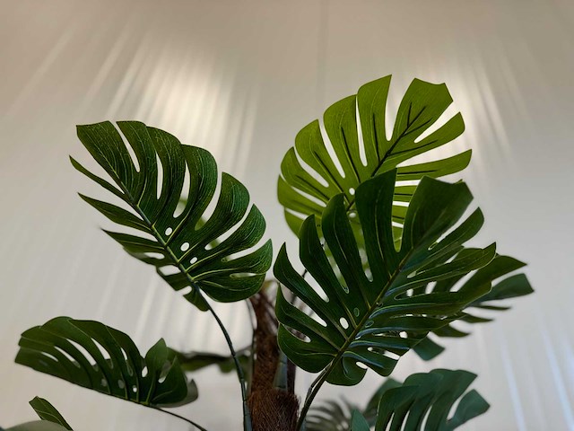 Royal pachira monsteria deliciosa kunstboom - afbeelding 6 van  16