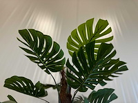 Royal pachira monsteria deliciosa kunstboom - afbeelding 6 van  16