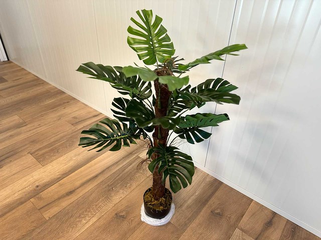 Royal pachira monsteria deliciosa kunstboom - afbeelding 9 van  16