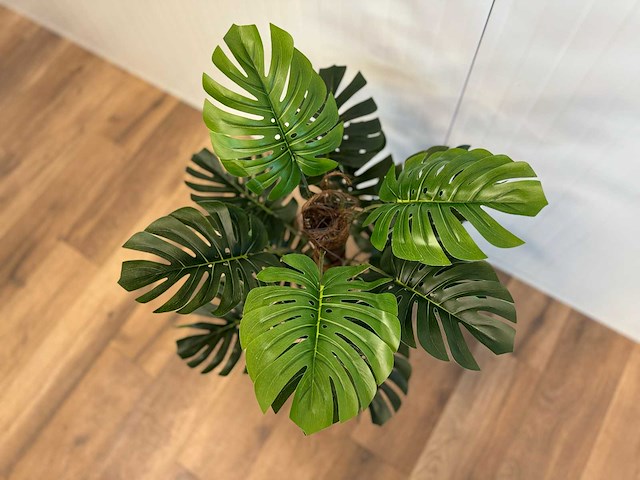 Royal pachira monsteria deliciosa kunstboom - afbeelding 11 van  16