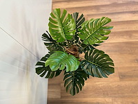 Royal pachira monsteria deliciosa kunstboom - afbeelding 12 van  16