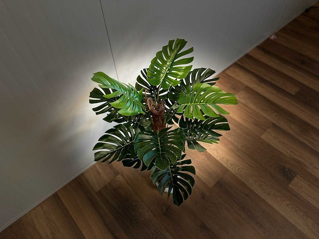 Royal pachira monsteria deliciosa kunstboom - afbeelding 13 van  16