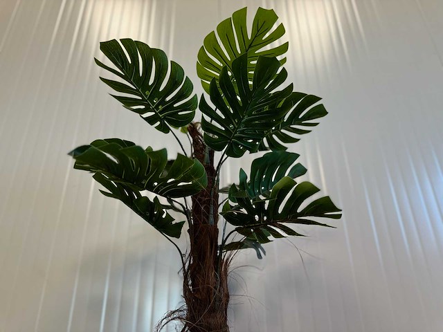 Royal pachira monsteria deliciosa kunstboom - afbeelding 14 van  16