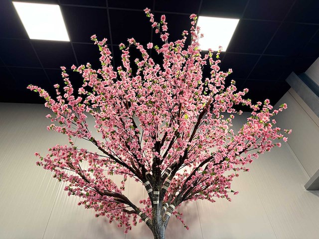 Royal pachira perzik bloesem kunstboom - afbeelding 14 van  16