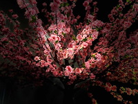 Royal pachira perzik bloesem kunstboom - afbeelding 5 van  18