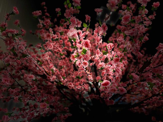 Royal pachira perzik bloesem kunstboom - afbeelding 6 van  18