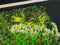 Royal pachira wand paneel (2x) - afbeelding 11 van  14