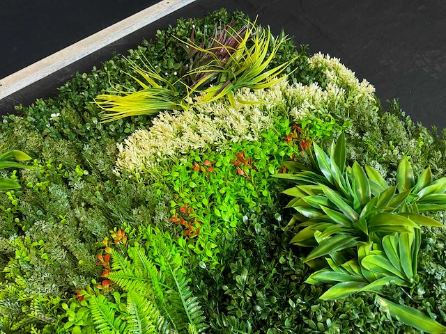 Royal pachira wand paneel (2x) - afbeelding 13 van  14