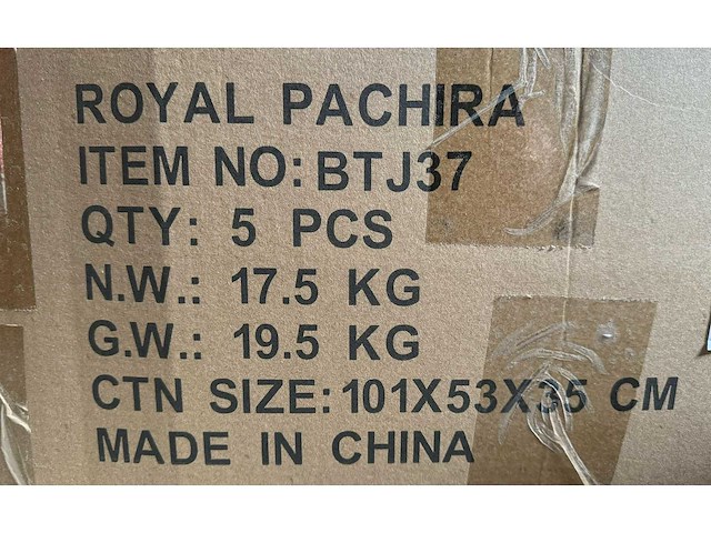 Royal pachira wand paneel (2x) - afbeelding 4 van  12