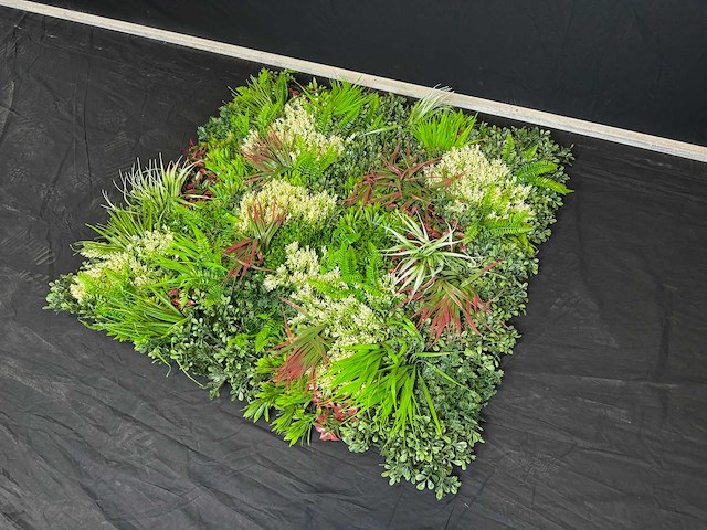 Royal pachira wand paneel (8x) - afbeelding 2 van  12