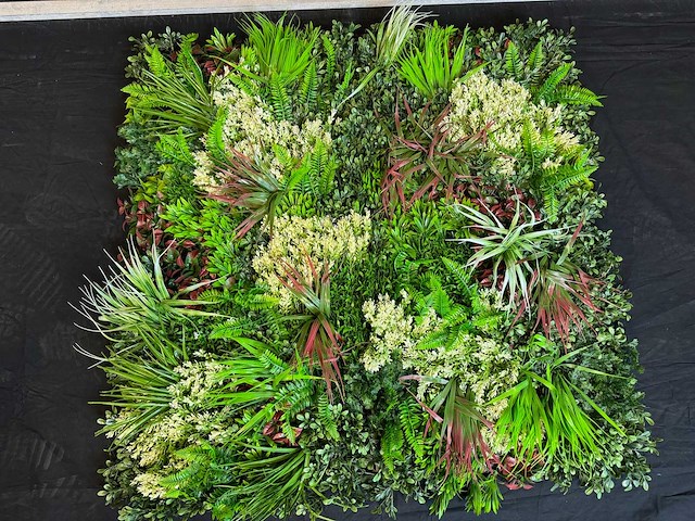 Royal pachira wand paneel (8x) - afbeelding 5 van  12