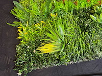 Royal pachira wand paneel (8x) - afbeelding 2 van  14