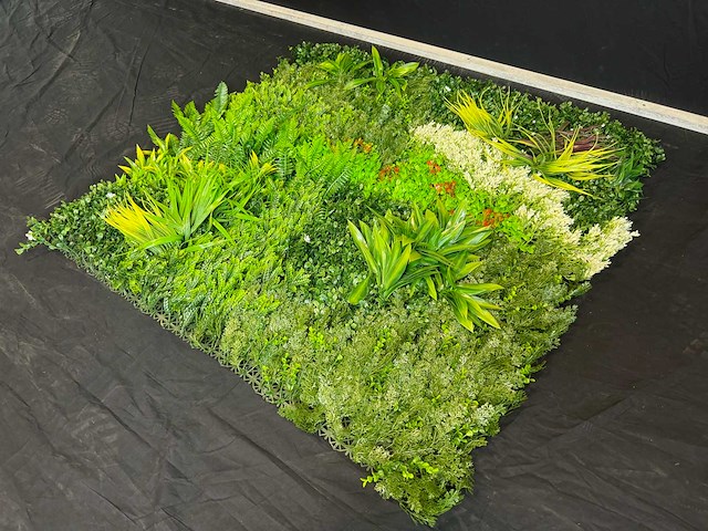 Royal pachira wand paneel (8x) - afbeelding 3 van  14