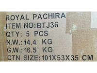 Royal pachira wand paneel (8x) - afbeelding 6 van  14