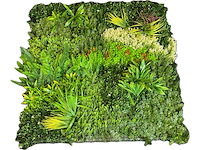 Royal pachira wand paneel (8x) - afbeelding 1 van  14