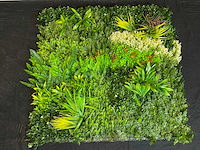 Royal pachira wand paneel (8x) - afbeelding 7 van  14