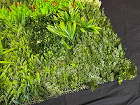 Royal pachira wand paneel (8x) - afbeelding 14 van  14