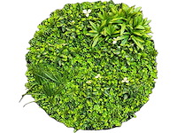 Royal pachira wand paneel rond (2x) - afbeelding 1 van  11