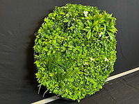 Royal pachira wand paneel rond (2x) - afbeelding 8 van  11