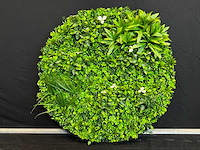 Royal pachira wand paneel rond (2x) - afbeelding 2 van  11